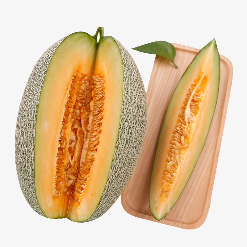 哈密瓜散发酒精味的常见原因