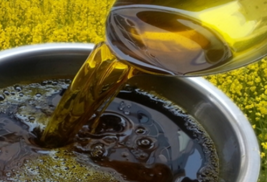 一间乡村小型菜籽油加工厂内部,工人正在操作螺旋榨油机,金黄色的菜籽油缓缓流出,旁边堆放着刚脱壳的油菜籽,墙上挂着“纯天然非转基因”宣传牌 油菜籽压榨作坊内景