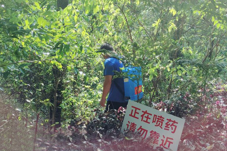 果园中设置的除草剂警示标志