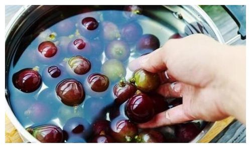 清洗红提葡萄