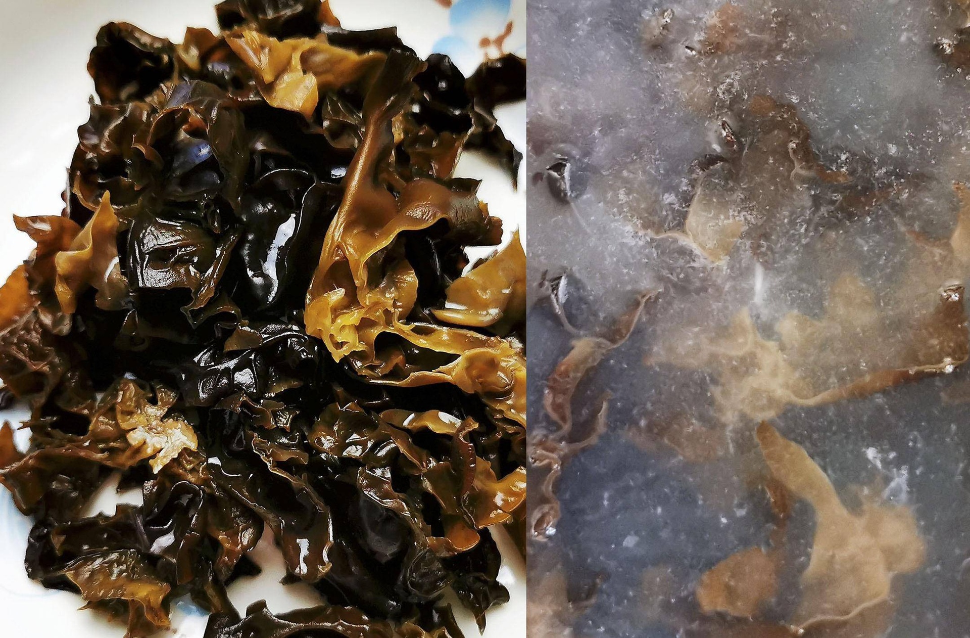 展示干海带在常温、冷藏、冷冻三种方式下的储存状态对比 干海带不同储存方式对比图