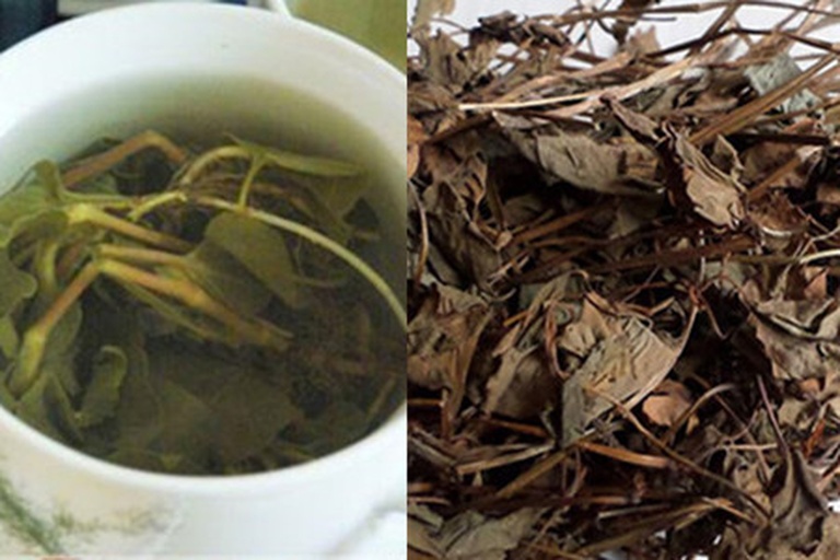 地胡椒草用于制作草药茶的过程,展示其干燥叶片与热水冲泡后的状态,适合用于健康饮品相关内容 地胡椒草在草药茶中的应用