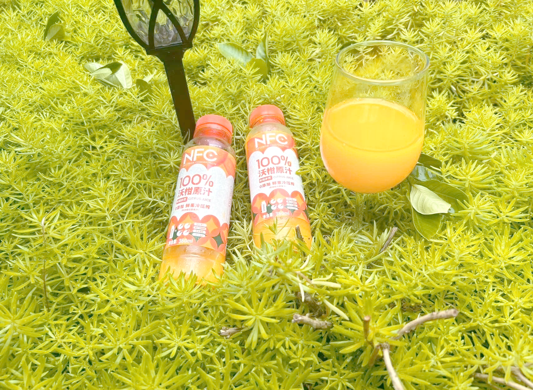 木质餐桌上摆放三款不同应用形式的NFC夏黑葡萄原汁制品：玻璃瓶原汁、紫色纸杯冰棒、小碟蘸酱配蔬菜条