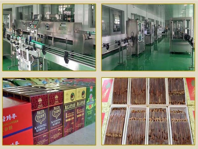 现代保鲜参生产线