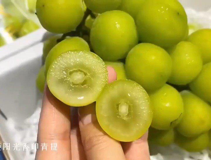 青提剖面特写