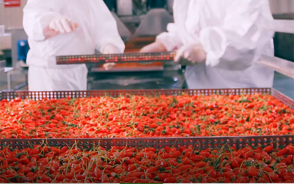 干辣椒检测过程