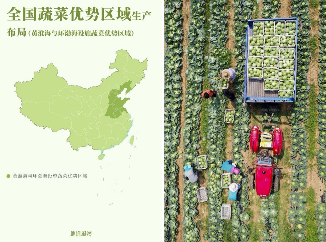 大豆与油菜主产区分布图