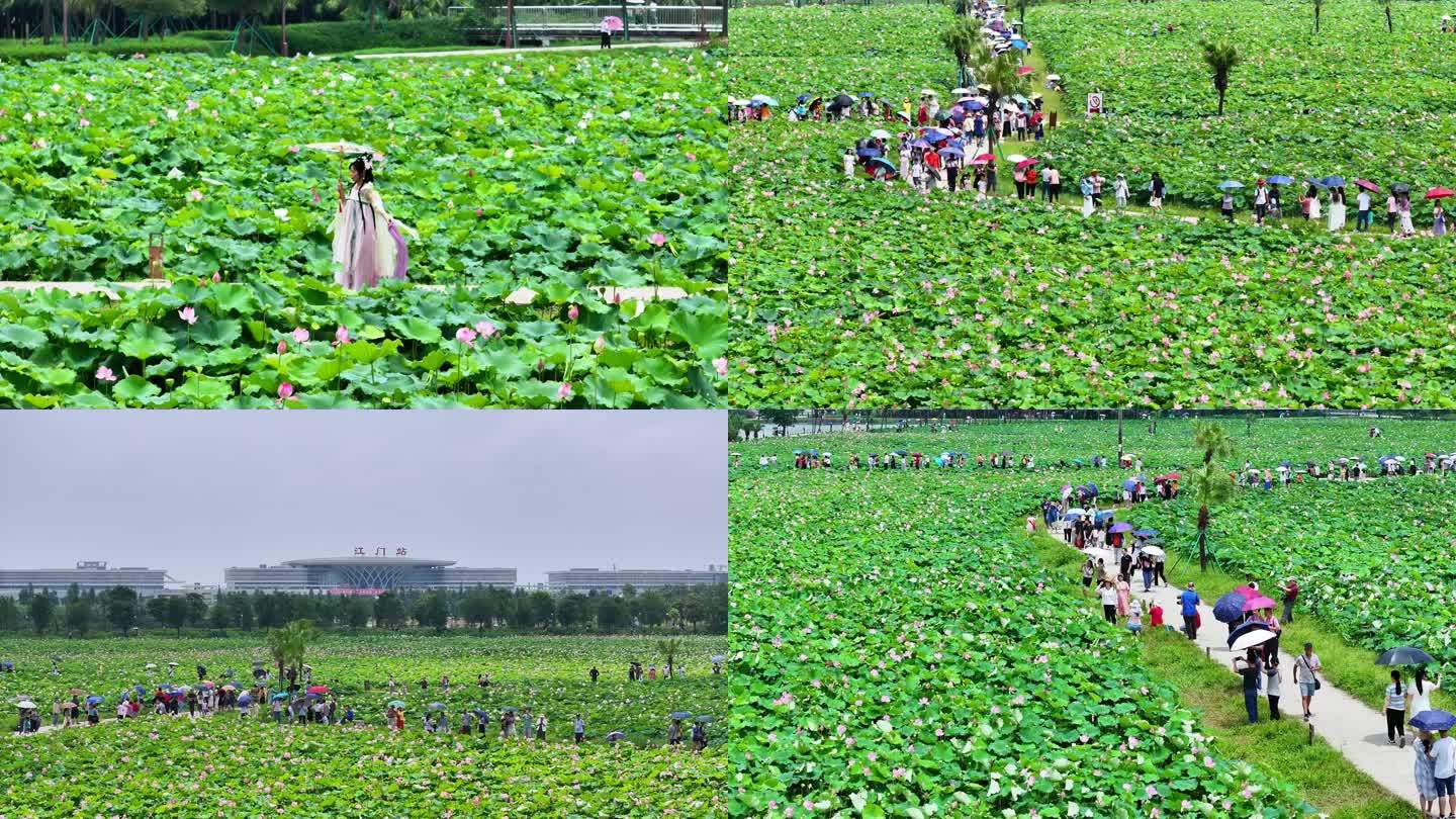 湘莲文化节活动现场