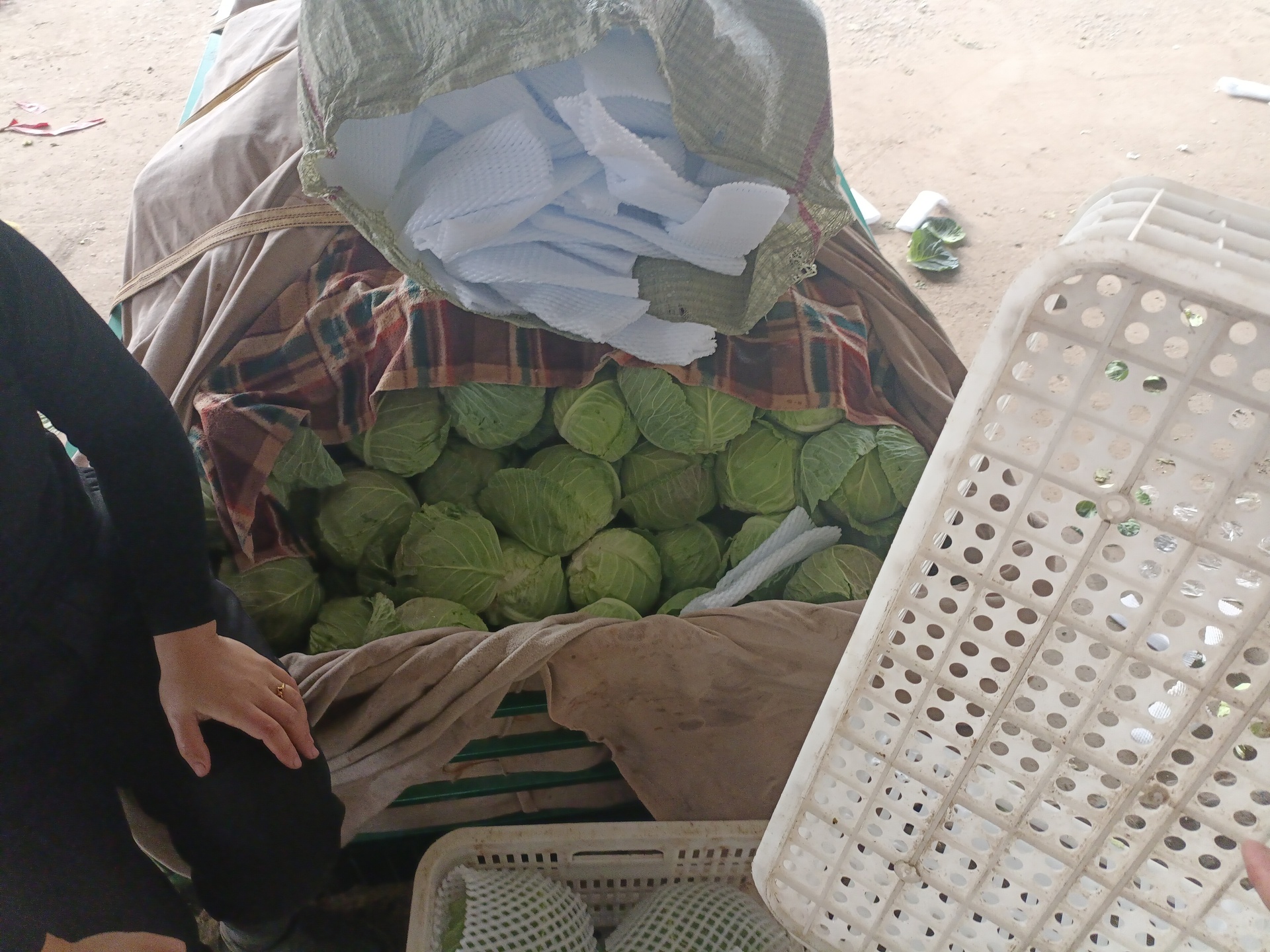 新鲜的卷心菜整齐堆放在农贸市场摊位上,展示其紧密包裹的绿色叶片结构,周围搭配其他常见蔬菜以体现日常食用场景 卷心菜堆叠在木制市场摊位上,背景为清晨阳光下的农贸市场,周围有胡萝卜和西红柿