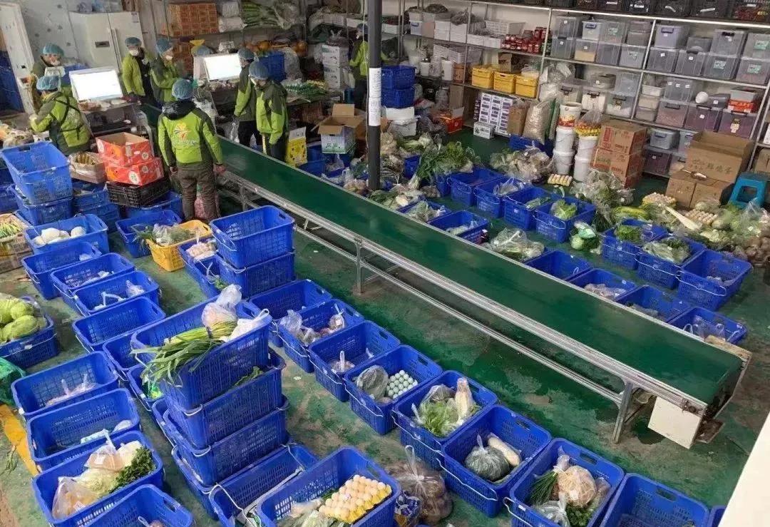 现代化地瓜加工车间内景,工人正在操作自动化清洗线,传送带上的西瓜红地瓜经过喷淋冲洗后进入光学分选机,机器根据大小、颜色、瑕疵自动分级;背景可见‘净菜配送中心’标识与冷链装车区,整体环境整洁明亮 现代化分拣包装车间实景图