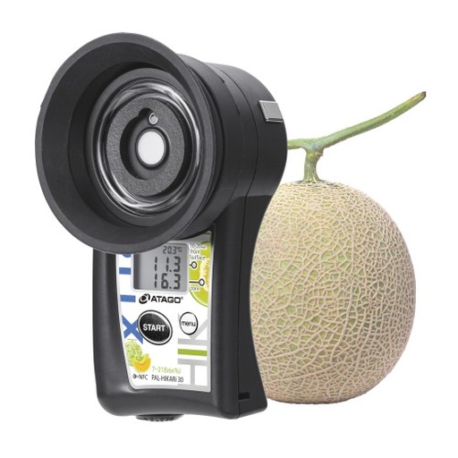 绿宝石甜瓜质量检测流程