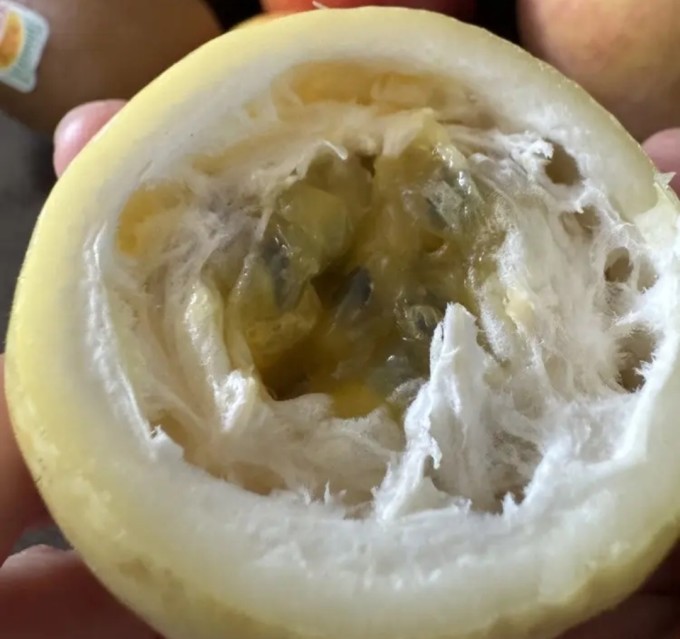 黄金百香果果肉剖面图