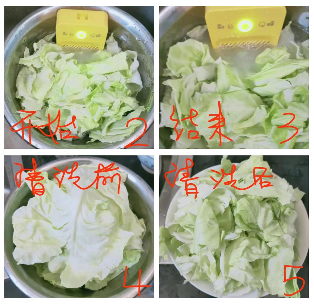白菜清洗与切配