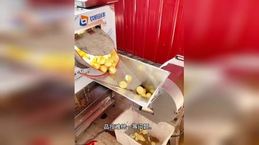 家用真空封口机正在密封装有蒜瓣的塑料袋