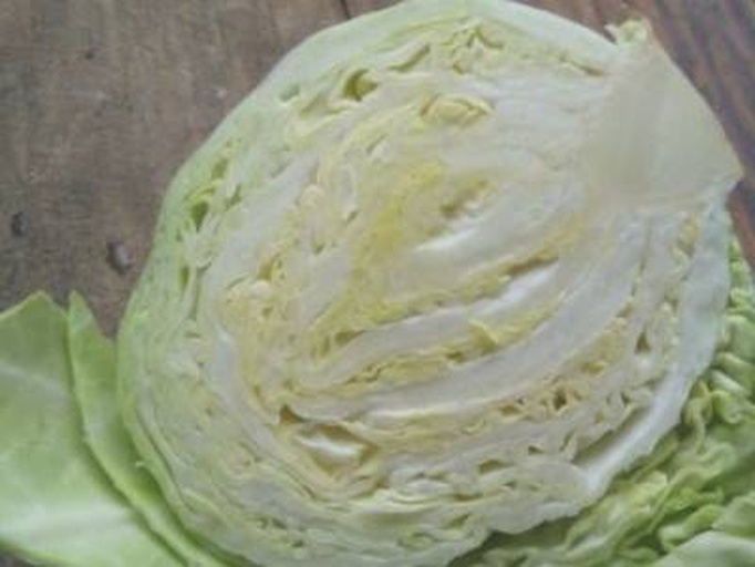 数字渲染图像展示白菜叶片细胞内部结构,多个椭圆形叶绿体分布在细胞质中,内含层叠类囊体膜,标注‘Chloroplast’和‘Thylakoid’,用于解释叶绿素生成机制 显微镜视角下白菜细胞中的叶绿体结构示意