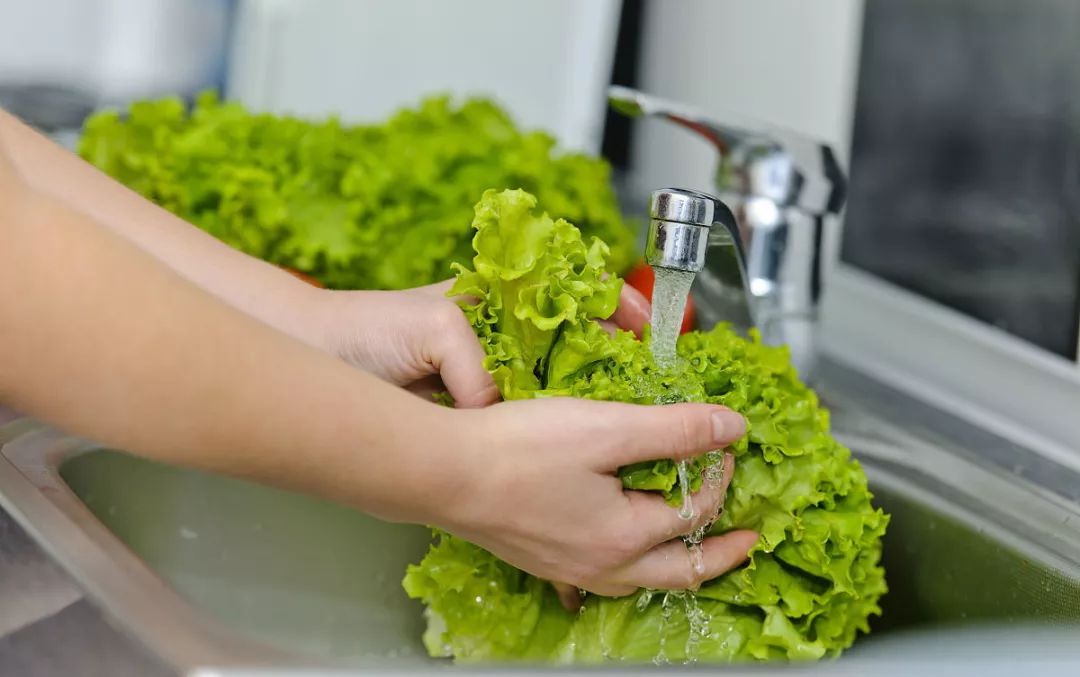 家庭厨房中清洗散叶生菜的过程