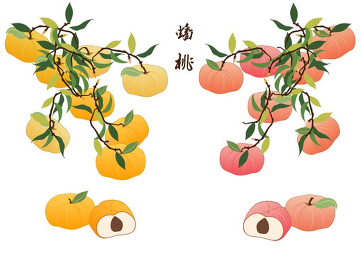 一幅传统国画风格的寿桃图,笔墨浓淡相宜,意境悠远 寿桃图国画作品欣赏