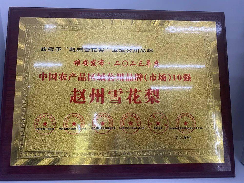 静宁去梨地理标志授权包装实物图,高清展示专用标志图形、法定登记名称字体、证书号位置及二维码清晰度,体现合规性与可追溯性 静宁去梨地理标志授权包装盒特写:蓝色主色调,印有官方地理标志图形、登记名称‘静宁去梨’、证书号AGI2022-03-3287及可扫码溯源二维码