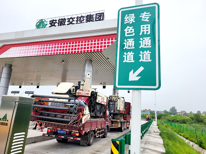 一辆悬挂绿通车牌的冷藏货车正停靠在高速公路收费站前,司机正在向工作人员展示车厢内整齐码放的塑料周转箱,箱中可见翠绿的油麦菜,背景有绿通专用通道标识和查验人员身影 冷链卡车上装载成箱油麦菜准备驶入高速收费站