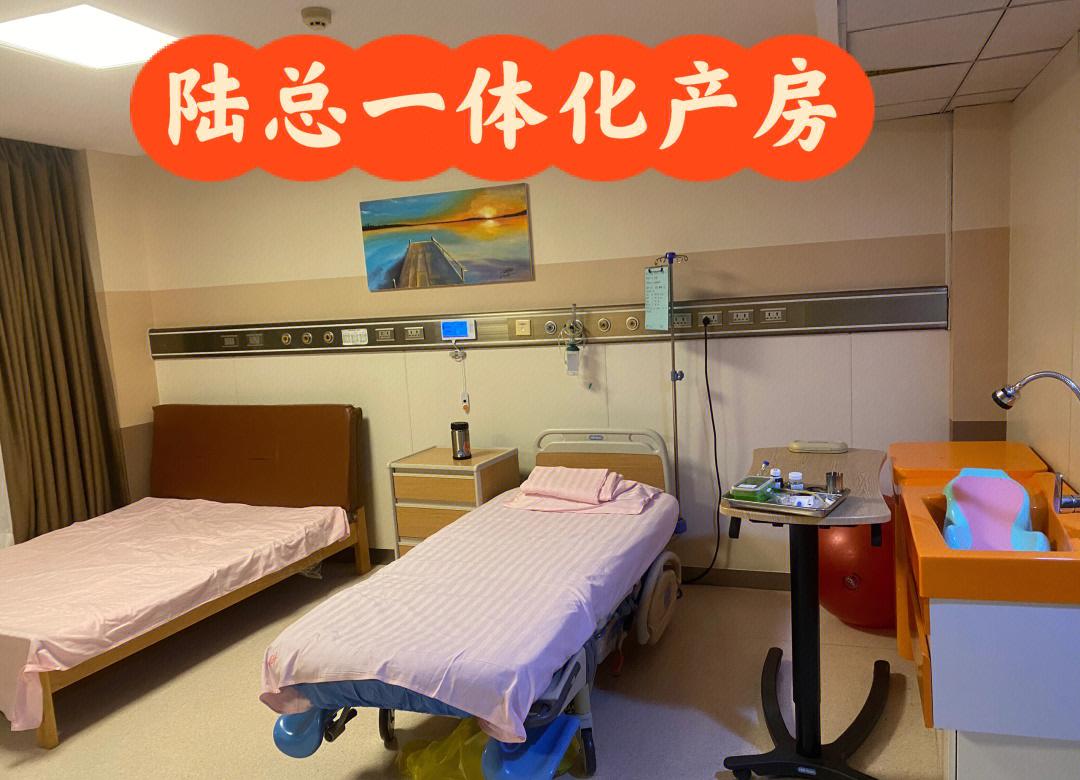 产房内干净整洁,设有垫草和饮水设施,便于母牛分娩和休息 西门塔尔牛产房环境布置示意图