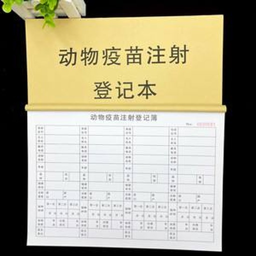 小矮马健康档案记录表样例