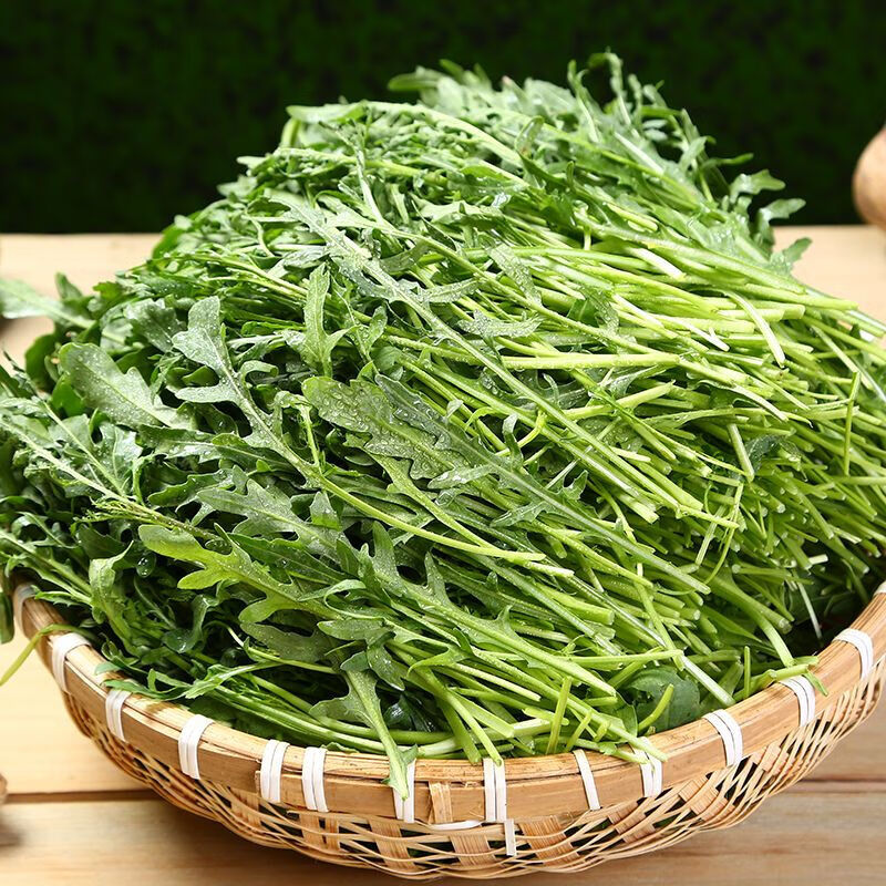 高清微距拍摄:新鲜采摘的芝麻菜嫩叶,叶片完整无萎蔫,表面可见天然蜡粉,叶色浓绿带银灰调,凸显其未受热处理的原始状态 新鲜翠绿芝麻菜叶片特写,叶缘微裂、表面覆薄蜡质层,叶脉清晰呈浅绿色,背景为木质砧板与玻璃碗,体现生鲜食材质感
