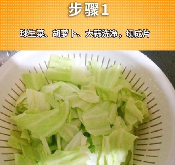 生活化厨房俯拍视角,展示结球生菜清洗切配全过程:洁净生菜丝堆叠整齐,搭配天然调味料(柠檬、橄榄油、黑胡椒),无高钠酱料,强调安全、低加工、痛风适配的烹饪方式 家庭厨房场景:手切结球生菜丝置于白瓷盘中,旁置柠檬角、初榨橄榄油瓶、研磨黑胡椒罐,背景虚化显示不锈钢水槽与绿色植物
