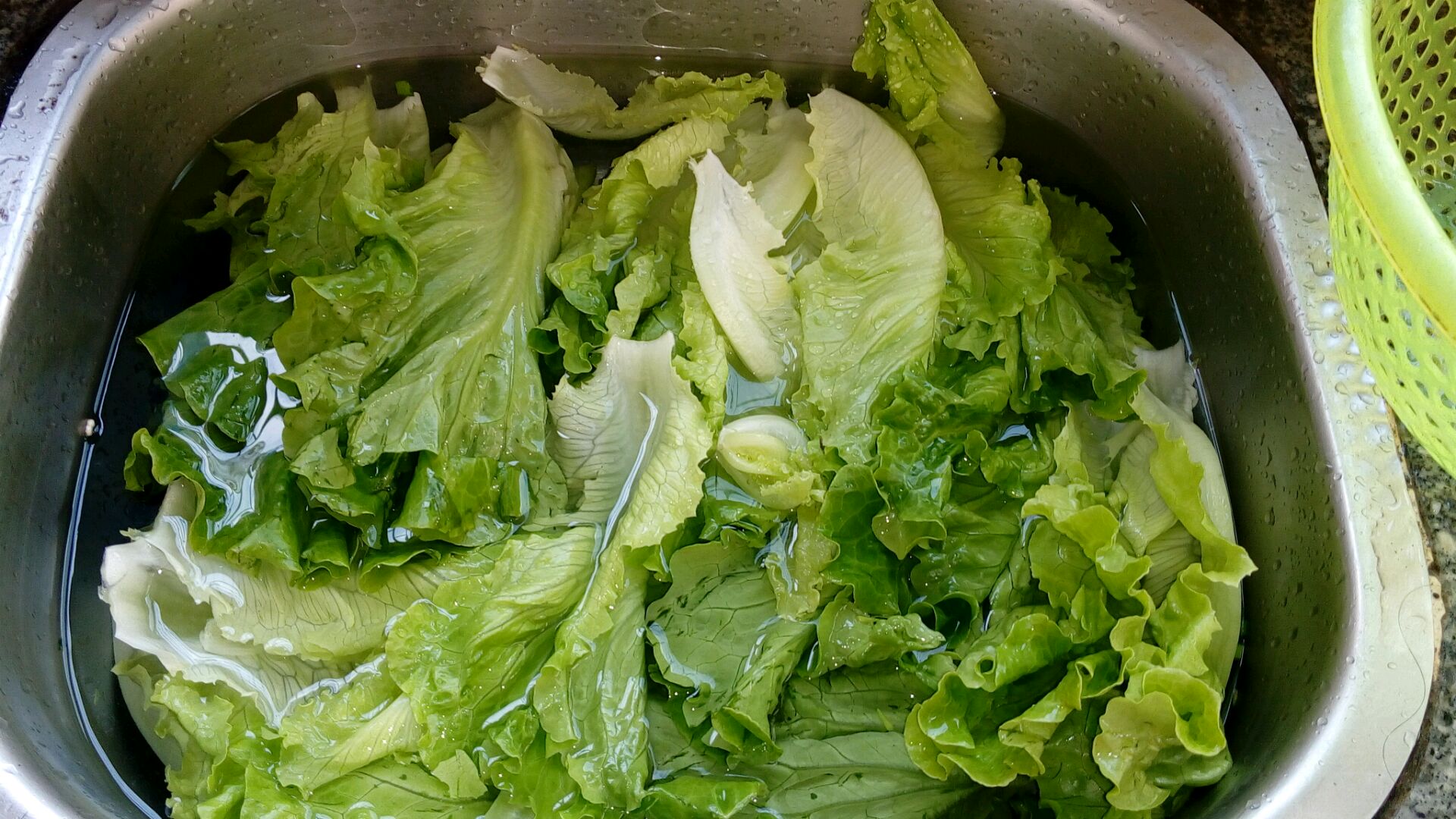 一位家庭主妇正在厨房水槽前用手仔细清洗一把新鲜的尖叶莴笋叶,水流冲刷叶片,旁边放着滤篮和切板,展现日常安全处理流程 家庭厨房中清洗莴笋叶场景