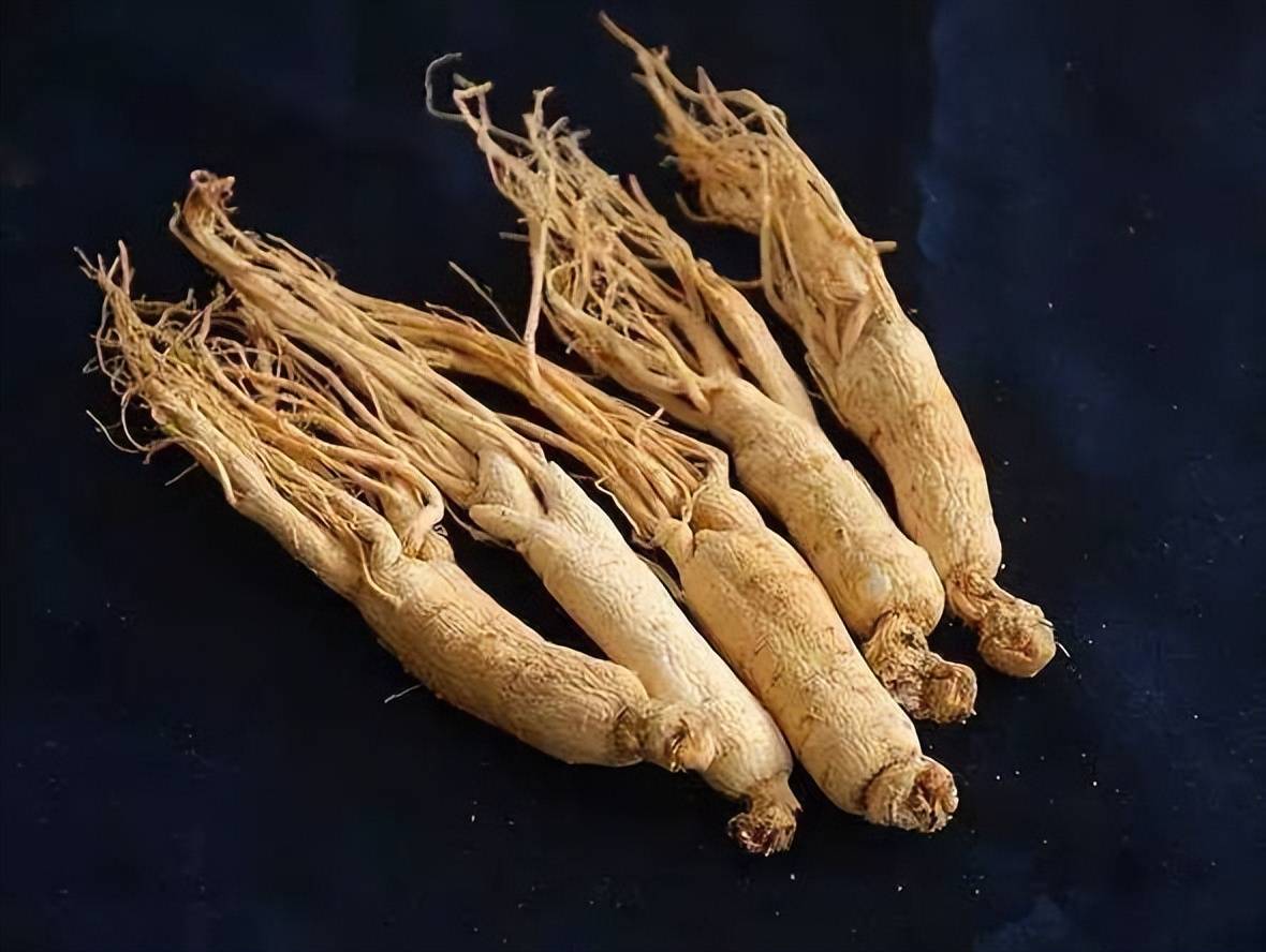 一株完整的优质干人参正面特写,根须完整,主根笔直,表皮光滑有细密横向环纹,顶部芦碗清晰可见,整体呈淡黄白色,放置在深色绒布背景上,光线柔和突出质感 优质干人参特写照片