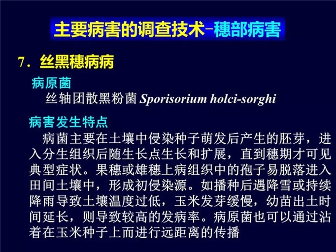 实验室场景:左侧为高效液相色谱仪(HPLC)检测界面,显示两份样品OTA峰面积(标准品保留时间12.8min);右侧为琼脂平板培养结果——上排为合格黑胡椒粉样本(无霉菌菌落),下排为自磨样本(密集灰绿色曲霉菌落,直径2–4mm,经PCR鉴定为Aspergillus ochraceus) 黑胡椒粉真菌毒素检测对比实验图