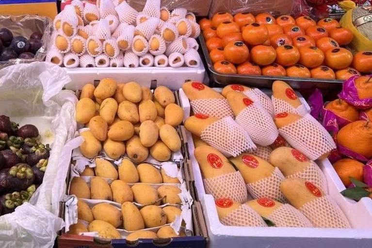 山竹与其他水果对比图