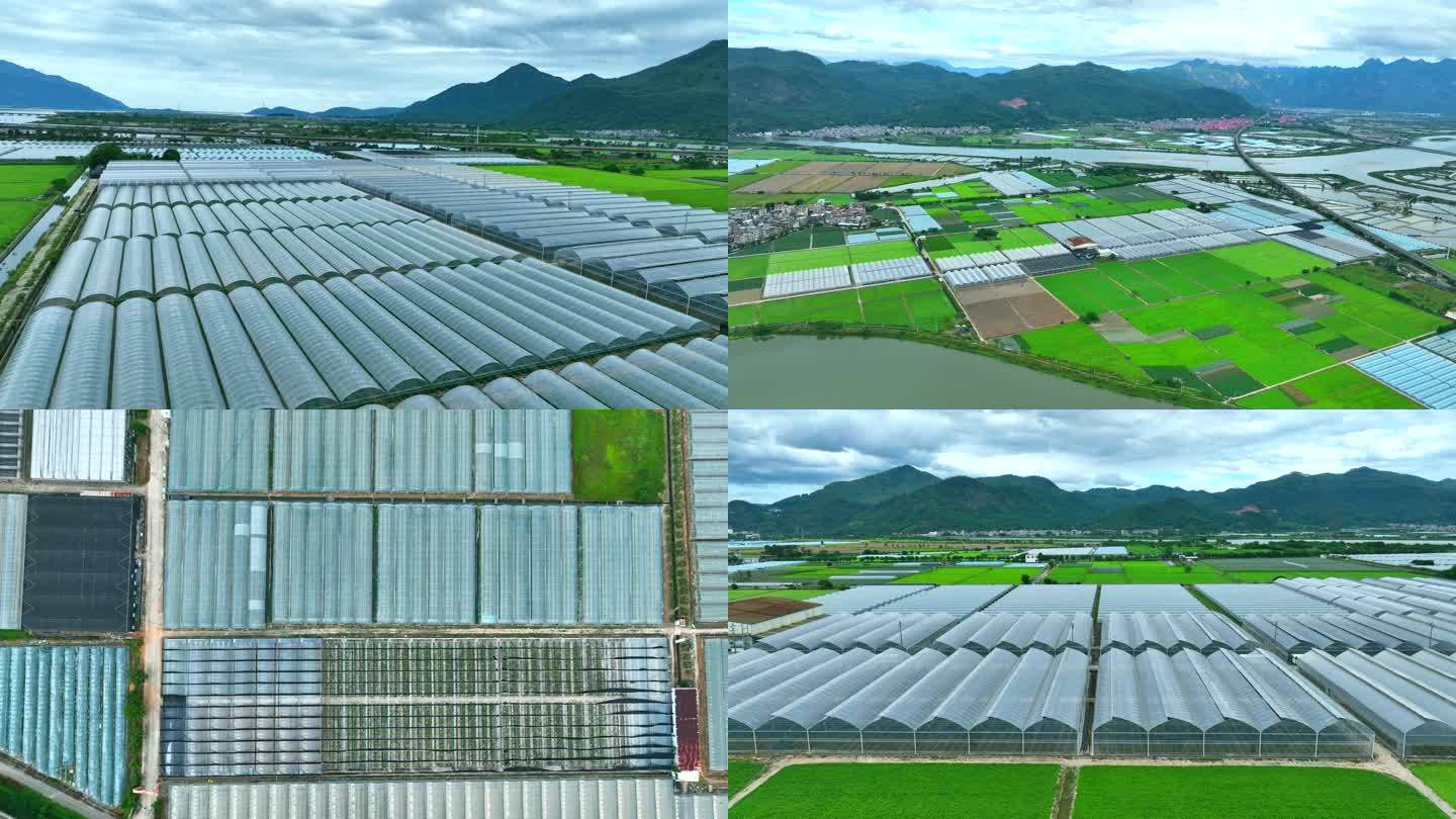 甘肃永登美新玫瑰4期高原种植基地航拍图