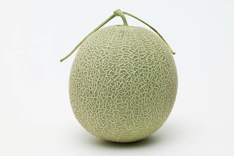 可口蜜网纹瓜整体外观特写