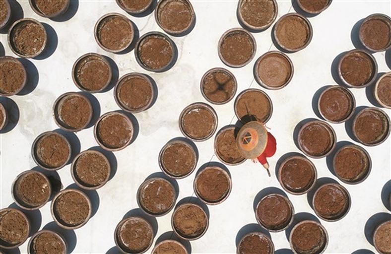 侧柏籽香品制作过程图