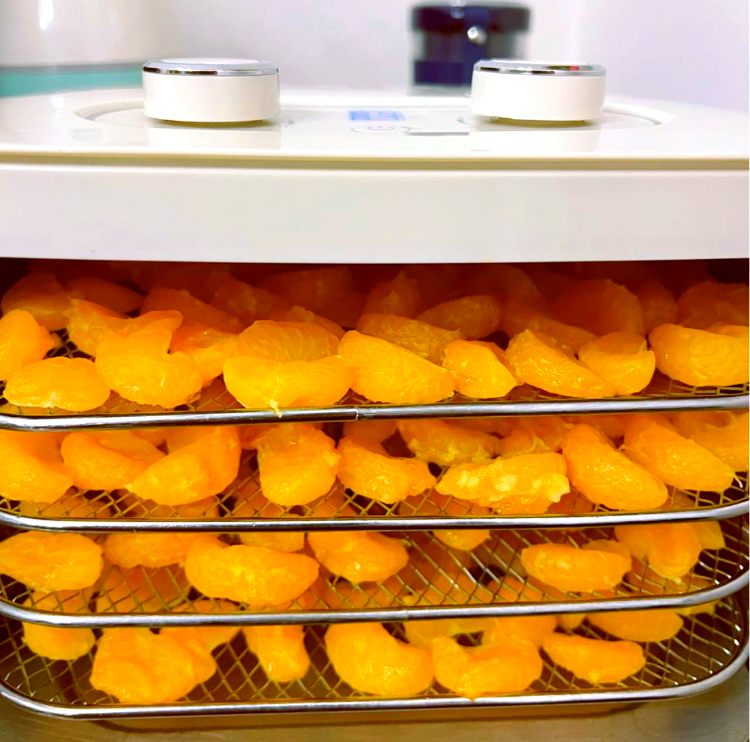 蜜橘果肉在烘干机中缓慢脱水的过程