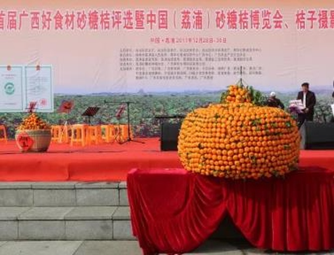 特写摄影:清晰展示国家地理标志专用标志(AGI2016-01-1812)、防伪二维码、以及‘四会沙糖桔’中英文字体标准,强调其受《地理标志产品保护规定》法律保护的身份真实性 四会沙糖桔地理标志认证标识特写:蓝色椭圆形徽标,“四会沙糖桔”汉字+英文“Sihui Satsuma Mandarin”+地理标志图形,旁置带二维码的溯源标签
