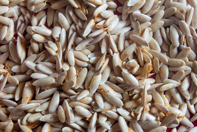 营养师展示一盘去壳西瓜子仁