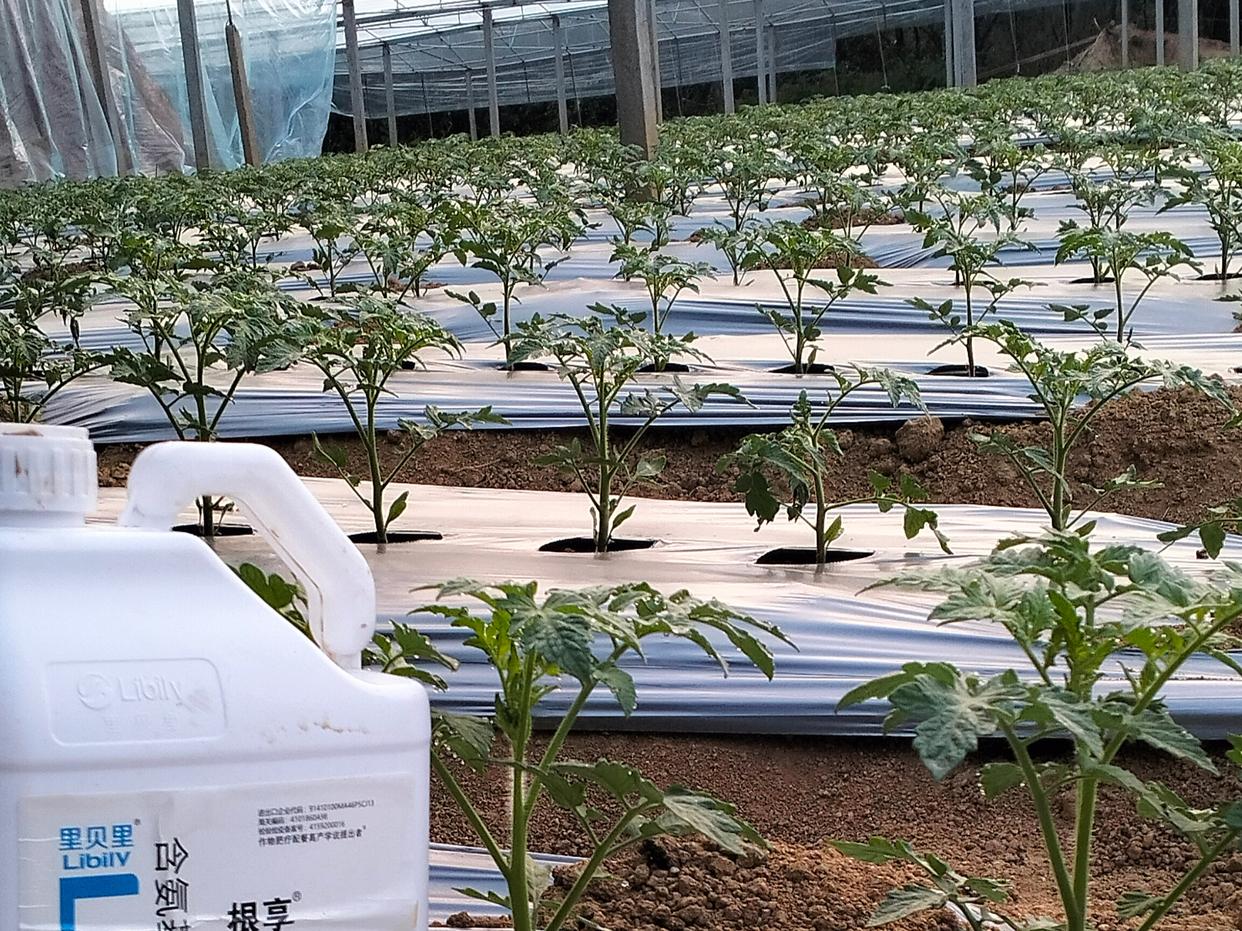 标准化生产记录表