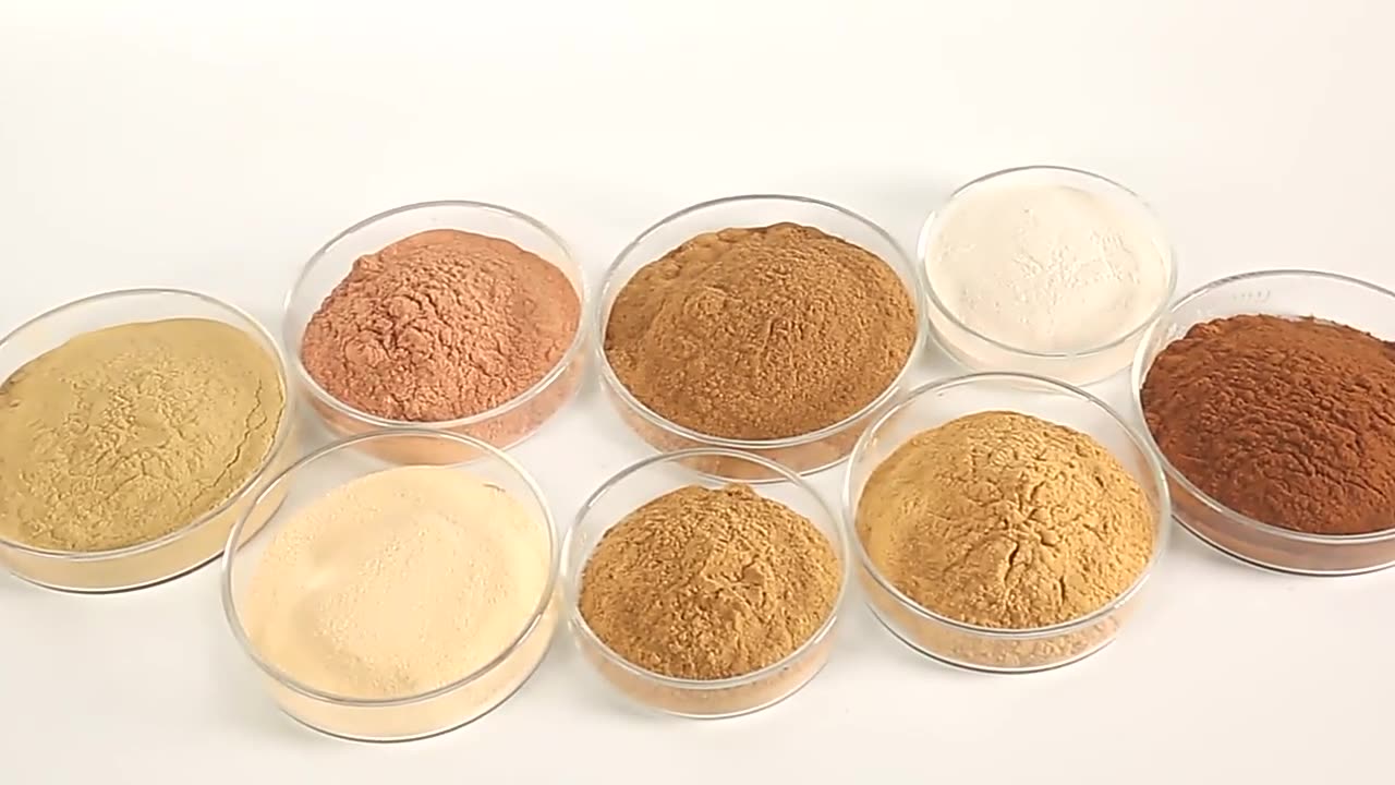 侧柏果壳加工成环保材料的实验场景