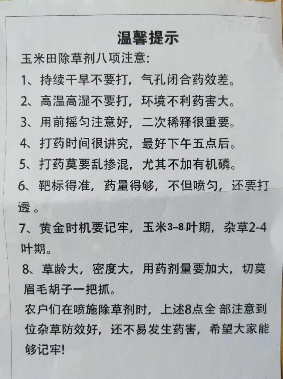 一张信息图表,展示高粱田除草剂使用的三个阶段:播前准备、苗前封闭、苗后处理,每个阶段列出推荐药剂、禁用药剂、关键时间节点和注意事项,采用图文结合形式,便于农户理解和执行 高粱田除草剂安全使用流程图示意图