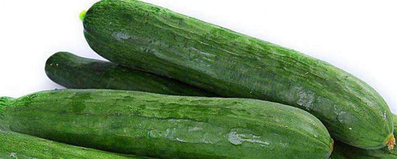 新鲜翠绿色的西葫芦,表皮光滑有光泽,一端带有枯萎的花蒂,另一端为根部。画面右侧为横向切开的西葫芦,露出白色至淡绿色的果肉和中央排列整齐的小型种子,果肉质地细腻,水分充盈 西葫芦整体与切开特写