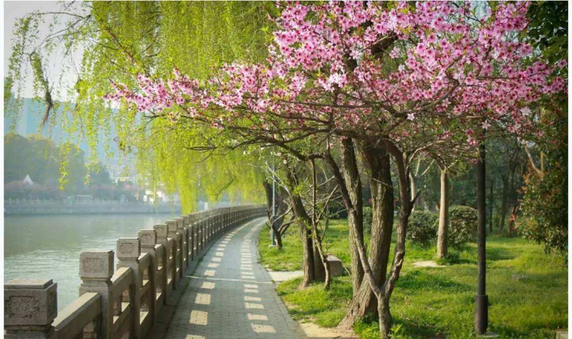 两位亚洲年轻女性在春日林间小径并肩缓行，一人手持素色帆布包，另一人手指轻点手机屏幕分享画面，两人目光微向彼此倾斜，发丝被微风轻扬，光影斑驳洒在浅米色针织衫与牛仔裤上，氛围宁静温暖