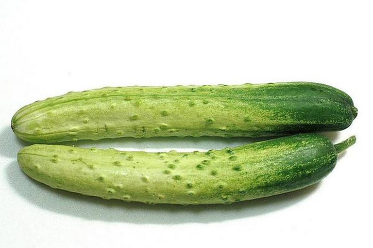 小黄瓜与普通黄瓜对比图