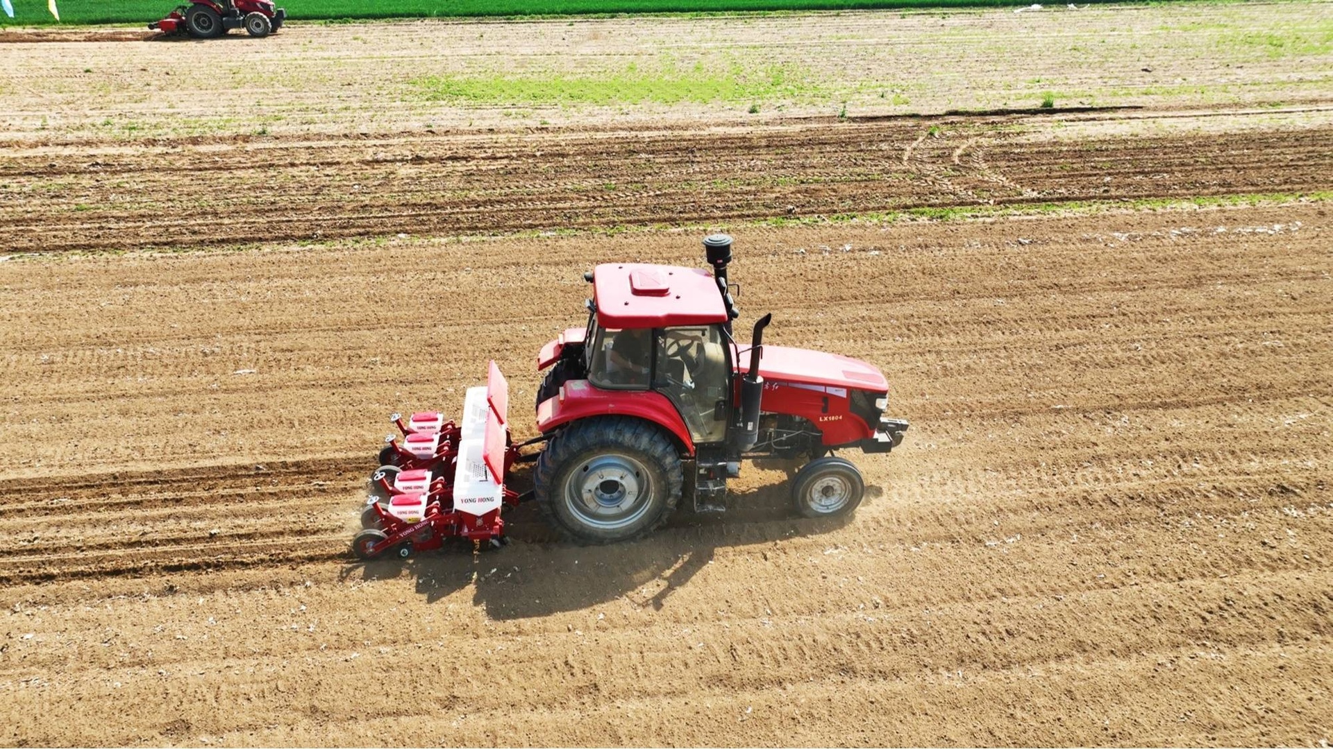 油菜机械化直播作业现场