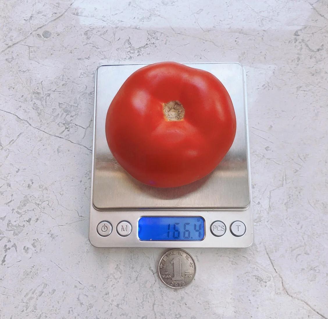 展示500克西红柿的称重过程,旁边摆放多个西红柿,标明每颗重量 西红柿称重图