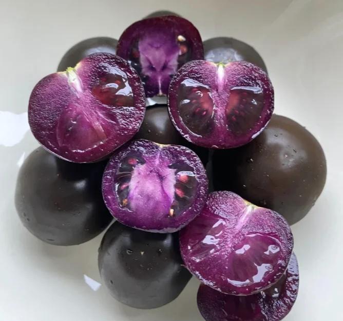 高清微距摄影:成熟紫果西番莲(Passiflora edulis f. edulis)横切面,展示典型紫红色果肉、高光泽度果汁层、均匀分布的黑色种仁及完整种皮结构,体现其作为优质浆果的形态学特征 百香果横切特写:紫红色果肉饱满包裹黑色种子,表面覆有金黄色粘稠果汁,背景为自然光下的新鲜采摘场景