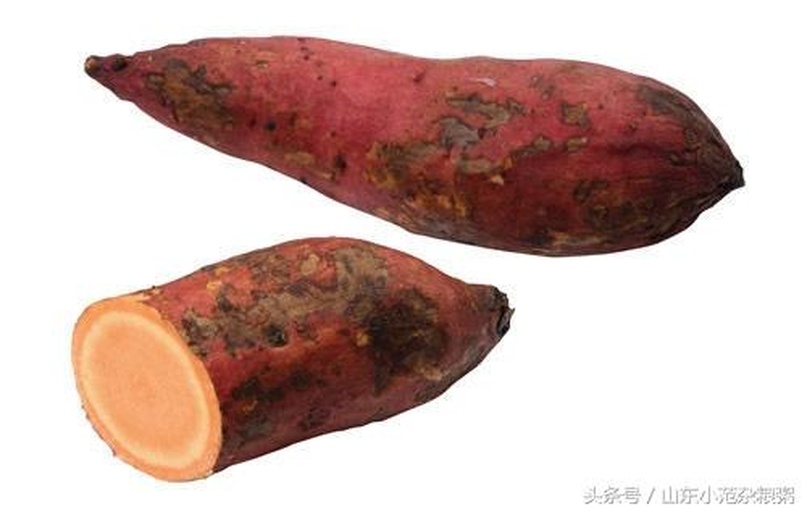新鲜红薯与霉变红薯对比图