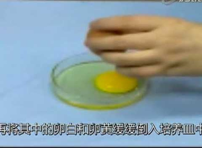 实验室中展示大豆蛋白在木瓜蛋白酶作用下的水解过程,试管内液体呈现透明淡黄色,显示蛋白质已被有效分解,背景为生物化学实验台,配有恒温振荡器和pH计 大豆木瓜蛋白酶水解反应示意图