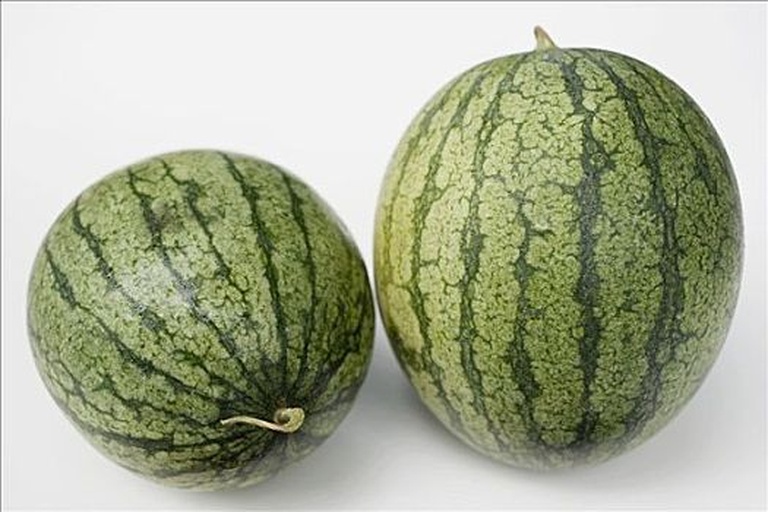 袖珍西瓜与普通西瓜并列对比图