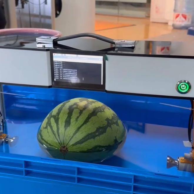 西瓜糖度检测